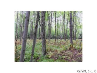 LOT 2 Bull Run Rd, Parish, NY 13131