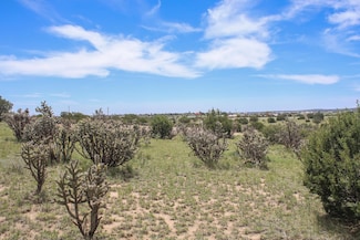 5 Taluca Ct, Edgewood, NM 87015