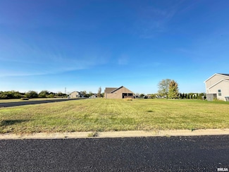 100 Sable Ln, Washington, IL 61571