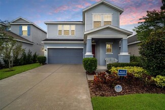 6222 Sea Amber Ln, Apollo Beach, FL 33572