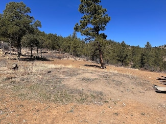 TBD Big Pine Ridge Rd, Weston, CO 81091