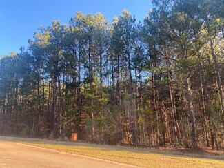 1078 Clint Williams Rd, Lincolnton, GA 30817