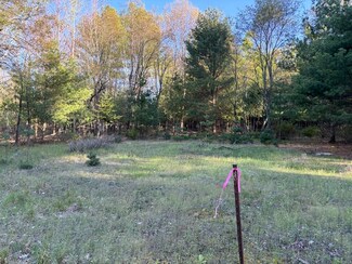 0003 Bonita Way, Onekama Township, MI 49675