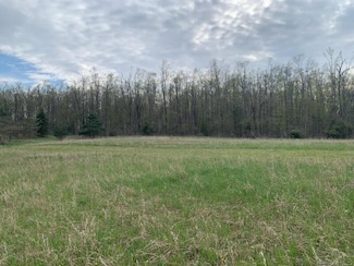 3706 W Nicholson Hill Rd, Ossineke, MI 49766