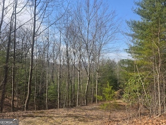 8 & 9 Up the Ridge Rd, Blairsville, GA 30512