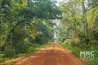 386 Forest Service Road 511-3, Grapeland, TX 75844