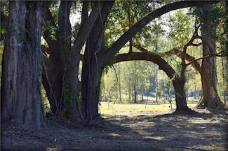 00 Ebb Guillot Rd, Pearl River, LA 70452