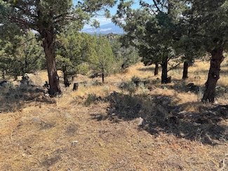 Unit 9-2 Lot 39 Blackhawk Dr Unit 9-2, Lake Shastina, CA 96094