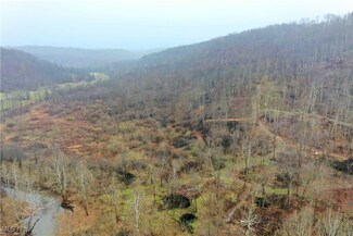0 Hoot Owl Ridge, Lower Salem, OH 45745
