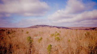 Lot 309 Tree House Trail, Dunlap, TN 37327