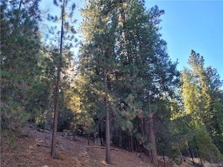 0 Brentwood Dr Unit RW25013079, Lake Arrowhead, CA 92352