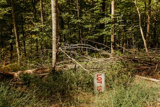 15 Sandy Ridge Rd, Campton, KY 41301