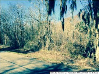 42378 Denver Hurst Rd, Gonzales, LA 70737