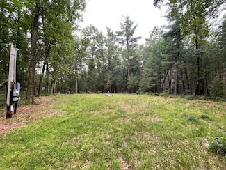 2931 Atwater St, Big Prairie Township, MI 49349