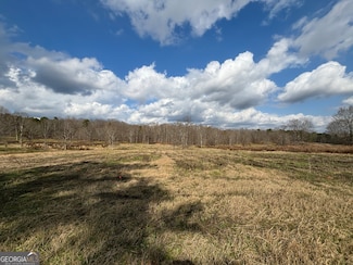 5 Blue Ridge School Rd, Forsyth, GA 31029