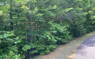 LT 9 Grand View Dr, Blairsville, GA 30512