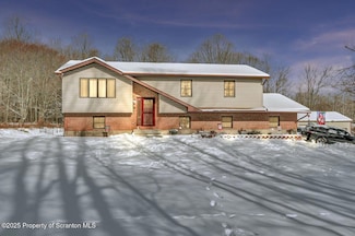 42 Davis St, Spring Brook Township, PA 18444