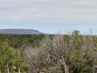 10 Bull Cyn Loop W, Newkirk, NM 88431