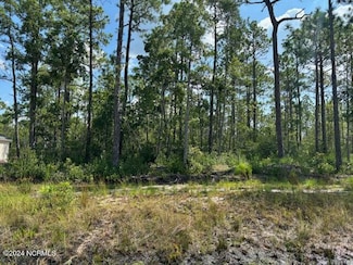 861 Downing, Southport, NC 28461