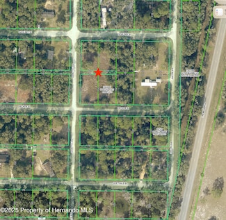 0 Goolsby St Unit 2254412, Webster, FL 33597
