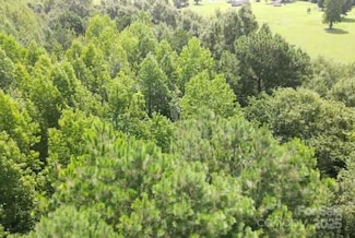 00 State Road S-35-466, Wallace, SC 29596