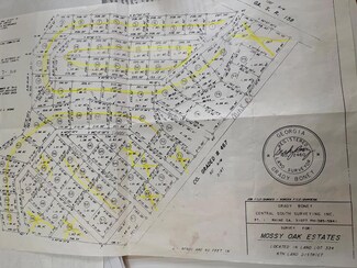 lot 48 Bear Trl Mossy Oaks Subd Unit 48, Nicholls, GA 31554
