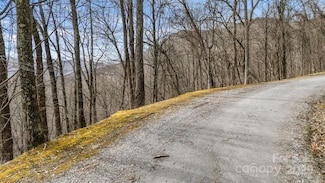 TBD Live Oak Loop Unit 28, Waynesville, NC 28785