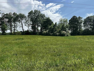 0 Catfish Ln Unit RTC3043278, Crump, TN 38327