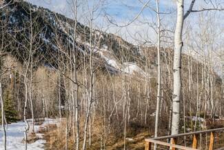 228 Eastwood Dr, Aspen, CO 81611