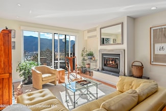 506 Wild Spring Ln Unit 2, Basalt, CO 81621