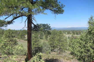 295 Sage Cir, Pagosa Springs, CO 81147