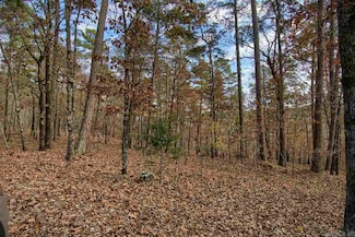 11 Acaso Ln, Hot Springs Village, AR 71909