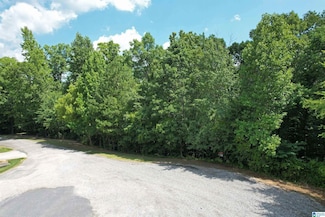 0 Weatherton Trail Unit 4 21412658, Harpersville, AL 35078
