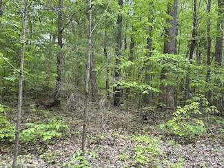 1 Poplar Ridge Rd, Chapmansboro, TN 37035