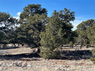 2841 N Carefree Way, Crestone, CO 81131