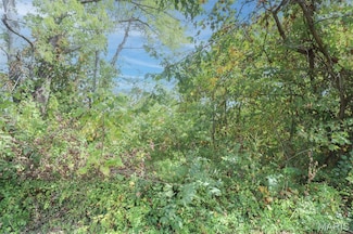 501 W 5th St, Dixon, MO 65459