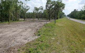 TBD Highway 129 S, Live Oak, FL 32060