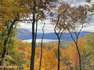 L43.2 Travis Trail, Lake George, NY 12845
