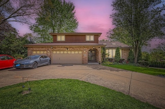 10029 S Wood Ln, Palos Hills, IL 60465