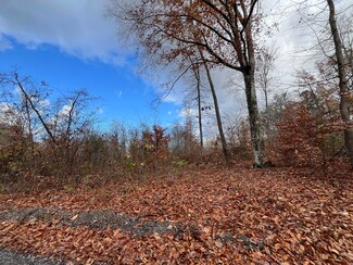378-#4 Rocky Top Rd, Newport, TN 37821