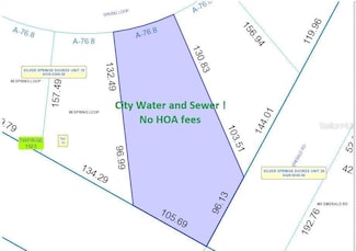 90 Spring Loop, Ocala, FL 34472
