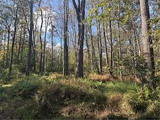 0000 County Line Rd, Champion, PA 15622