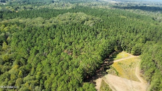 2 Mississippi 469, Florence, MS 39073