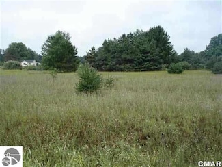 1033 Pyrenees Dr, Lake Isabella, MI 48893