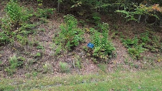 31 Waterdance Dr, Cullowhee, NC 28723