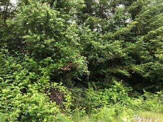 46031 P46031, Marblemount, WA 98237