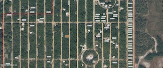 00000 Neilsen Ave, Interlachen, FL 32148