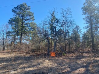 3017 Camp Josey Rd, Blythe, GA 30805