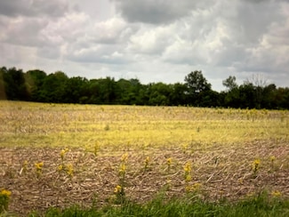 Lot 3 West Shoemaker Rd, Circleville, OH 43113