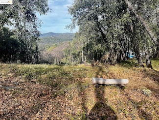 17401 Deer Park Ct, Sonora, CA 95370